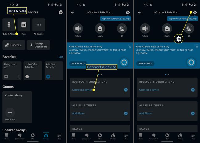 Echo & Alexa, Connect a Device, and Device Settings gear in the Alexa app