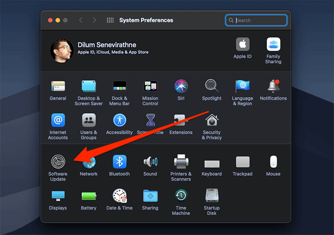 Software Update in System Preferences 