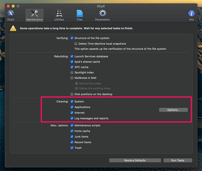 Onyx Maintenance tab with Cleaning options 