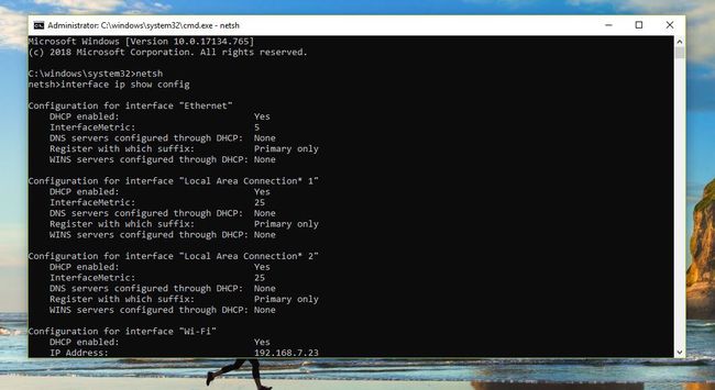 netsh interface ip show config command results in Windows 10