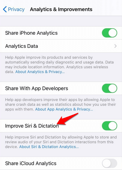 Improve Siri & Dictation toggle in Analytics & Improvements 