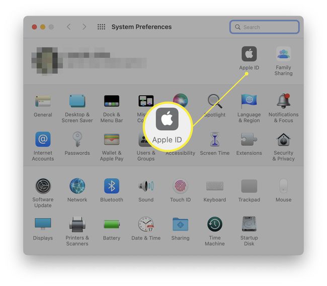 macOS system preferences with Apple ID highlighted.
