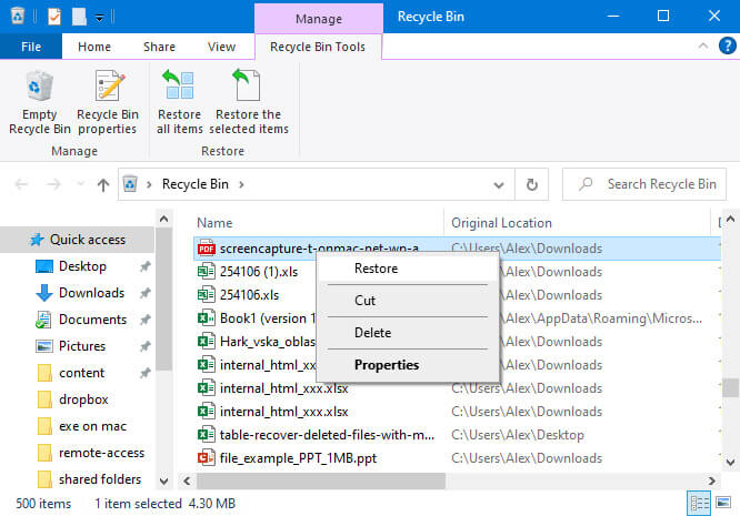 restore pdf files from recycle bin