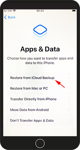 restore from icloud backup