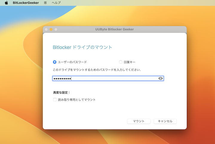 bitlocker geeker ja2