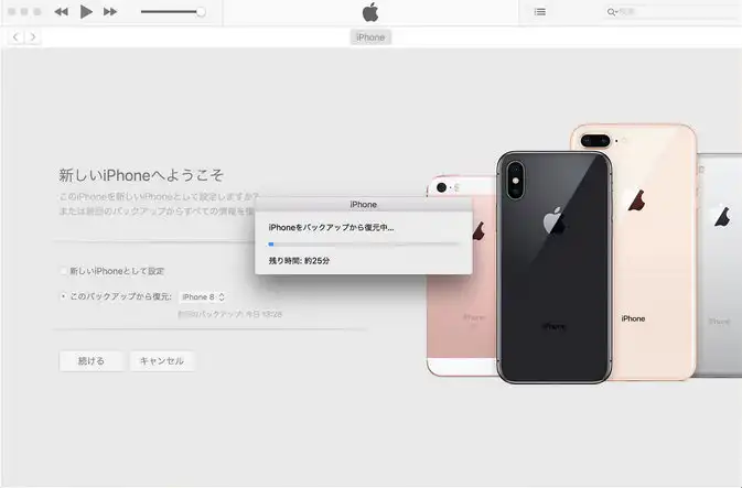 iPhone𕜌