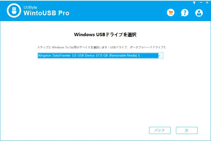 WintoUSB Pro