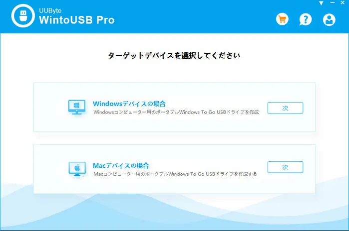 WintoUSB Pro